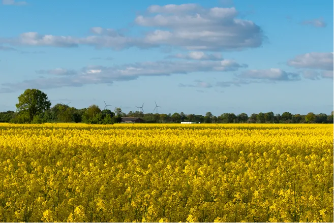 Bild vom Projekt Bürger-Energiepark Garrel